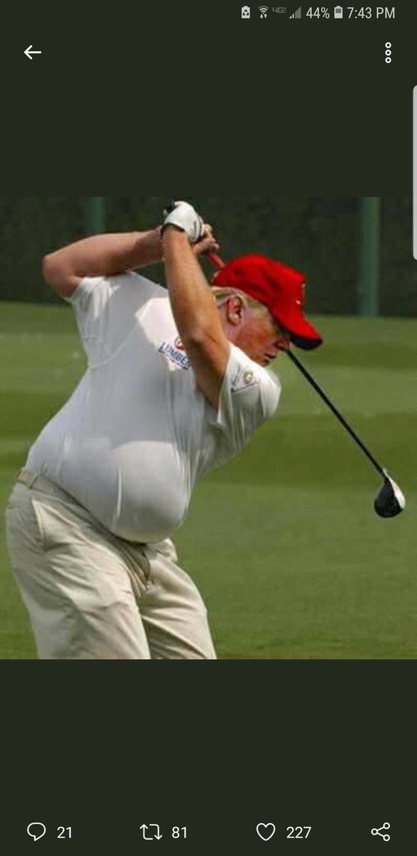 Nostradonny's tweet image. When every day is #FatTuesday #donaldtrump #executivetime #239pounds #hamberders