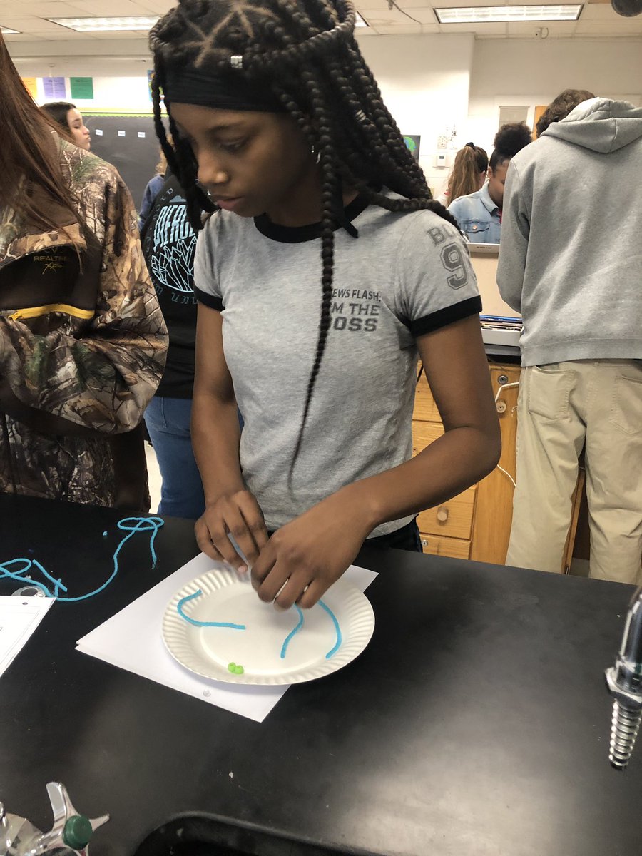 Modeling the stages of the cell cycle! #iteachbio #scpsva #makebiofun