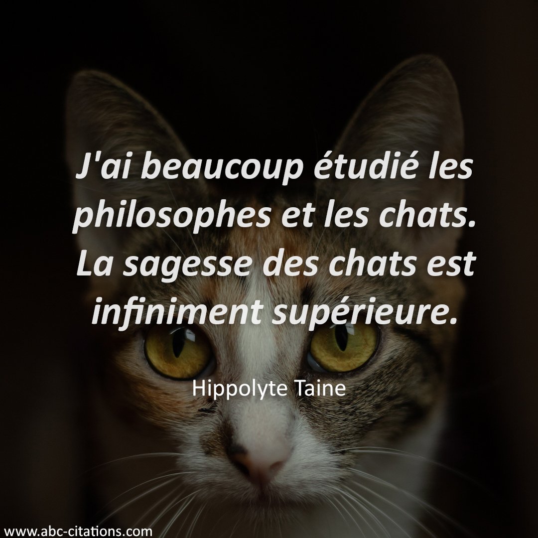 Citations Du Monde J Ai Beaucoup Etudie Les Philosophes Et Les Chats La Sagesse Des Chats Est Infiniment Superieure Citation D Hippolyte Taine Chat Zen Inspiration Motivation Inspirationalquotes Quotes Sagesse T Co Citations Du Monde J Ai Beaucoup Etudie Les Philosophes Et Les Chats La Sagesse Des Chats Est Infiniment Superieure Citation D Hippolyte Taine Chat Zen Inspiration Motivation Inspirationalquotes Quotes Sagesse T Co