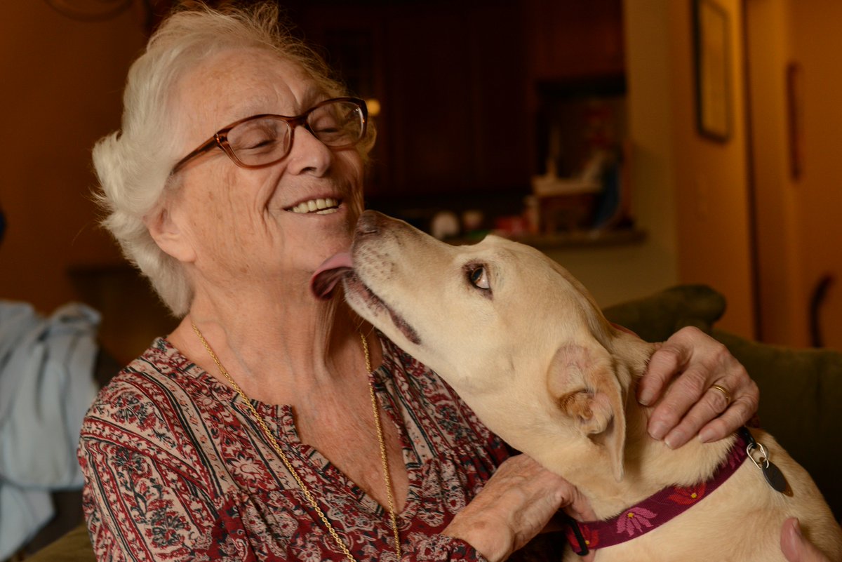 CVCJCares's tweet photo. @DrOz thank you for highlighting the awful epidemic of loneliness.  Would love to share with you what our nonprofit is doing to combat in seniors through grassroots volunteerism - both 4 legged visitors and 2 legged.  Hoping others will replicate. https://t.co/4Bao22hr8L