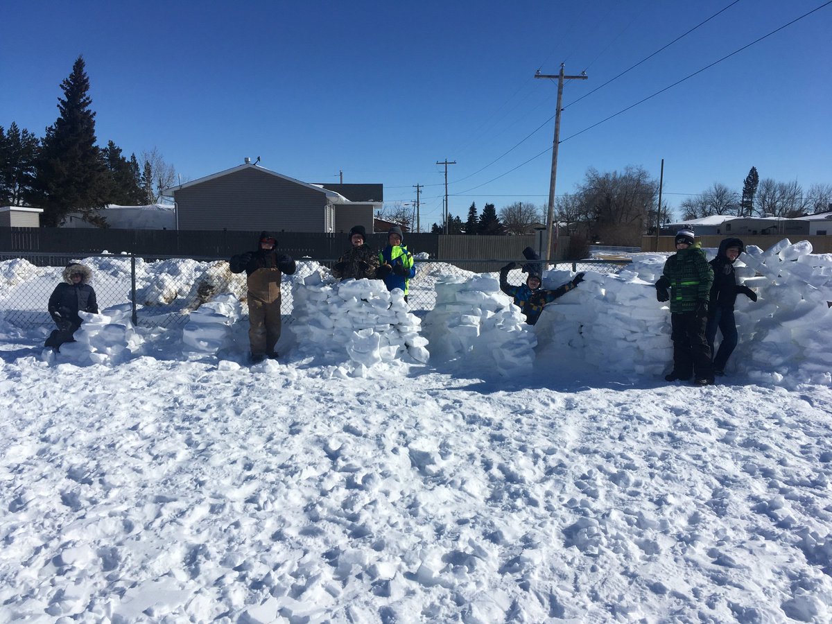 Consort School tweet media