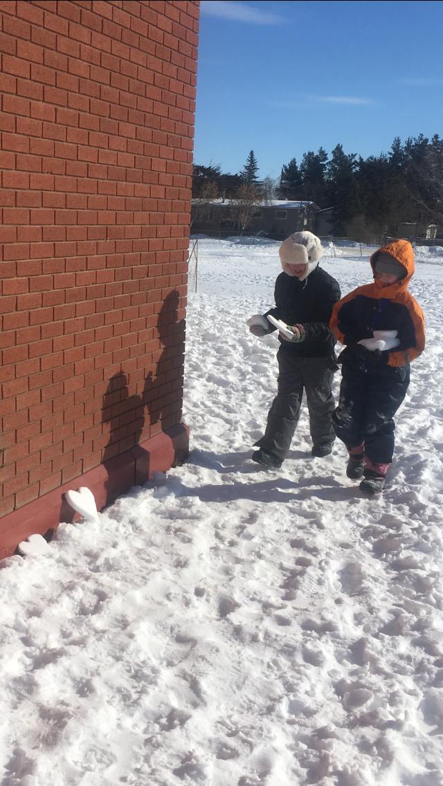 Consort School tweet media