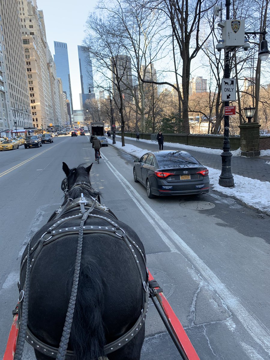 CarriageCavalry's tweet photo. We didn’t need a “carriage moving lane” in the first place, but so far, between NYPD, trucks, taxis and Ubers, it’s been unusable. Might as well just go back to the way things were, right, for the benefit of everyone? #VisionZero #CarriageOn https://t.co/TV6oduXkE2