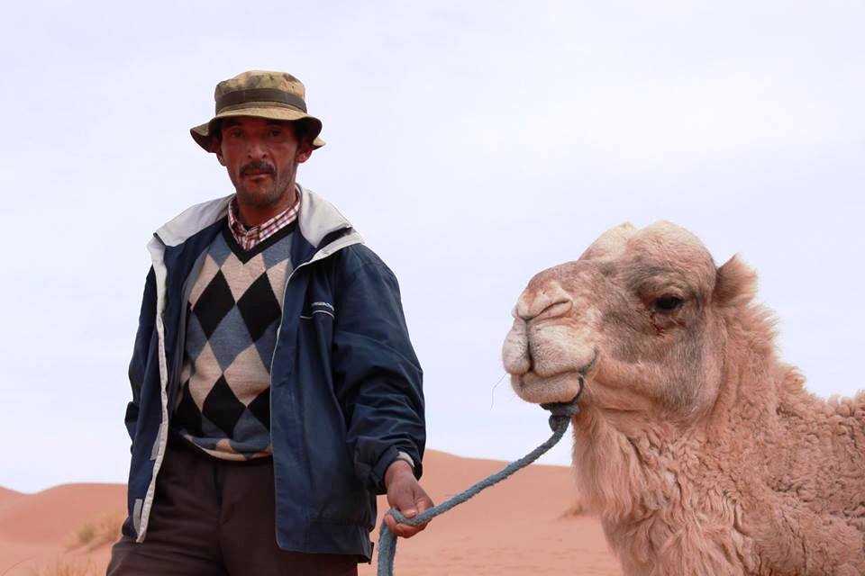 HireGuide's tweet image. Camel Ride Tours in the Sahara Desert Morocco
activetreksmorocco.com