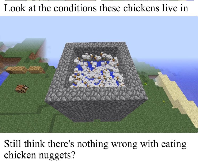 SteveJKmc's tweet photo. Non tkt moi je les utilise pour faire une putain de bombe à poulet et en plus ils prennent pas de dégâts :) https://t.co/A7xEn8Fu4G