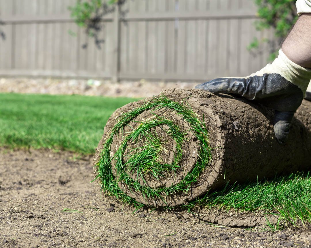 ArtisanTurf's tweet photo. #Dontmissout on our #greatofferings, check out our #website today and get an idea of who we are and the #services we offer. Give Us A Call at # (407) 499-8578 today! #ArtificialGrass #ArtificialGrassforDogs #CommercialArtificialGrass #Pavers #Orlando32835 https://t.co/D7wTroG2GM https://t.co/q5MimODbzb