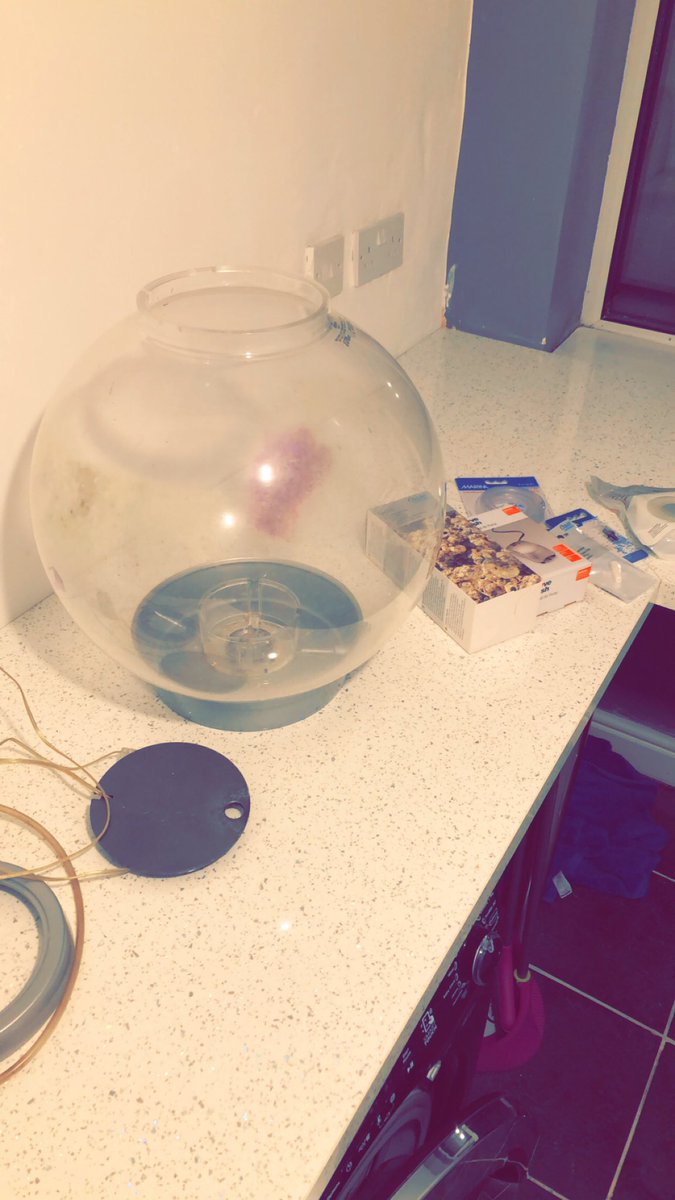 Lukee247's tweet photo. Dug this out the attic, decided to put it back in to use π‘π π #biorb #fish #revamp #needsaclean https://t.co/TryaUYQQmg