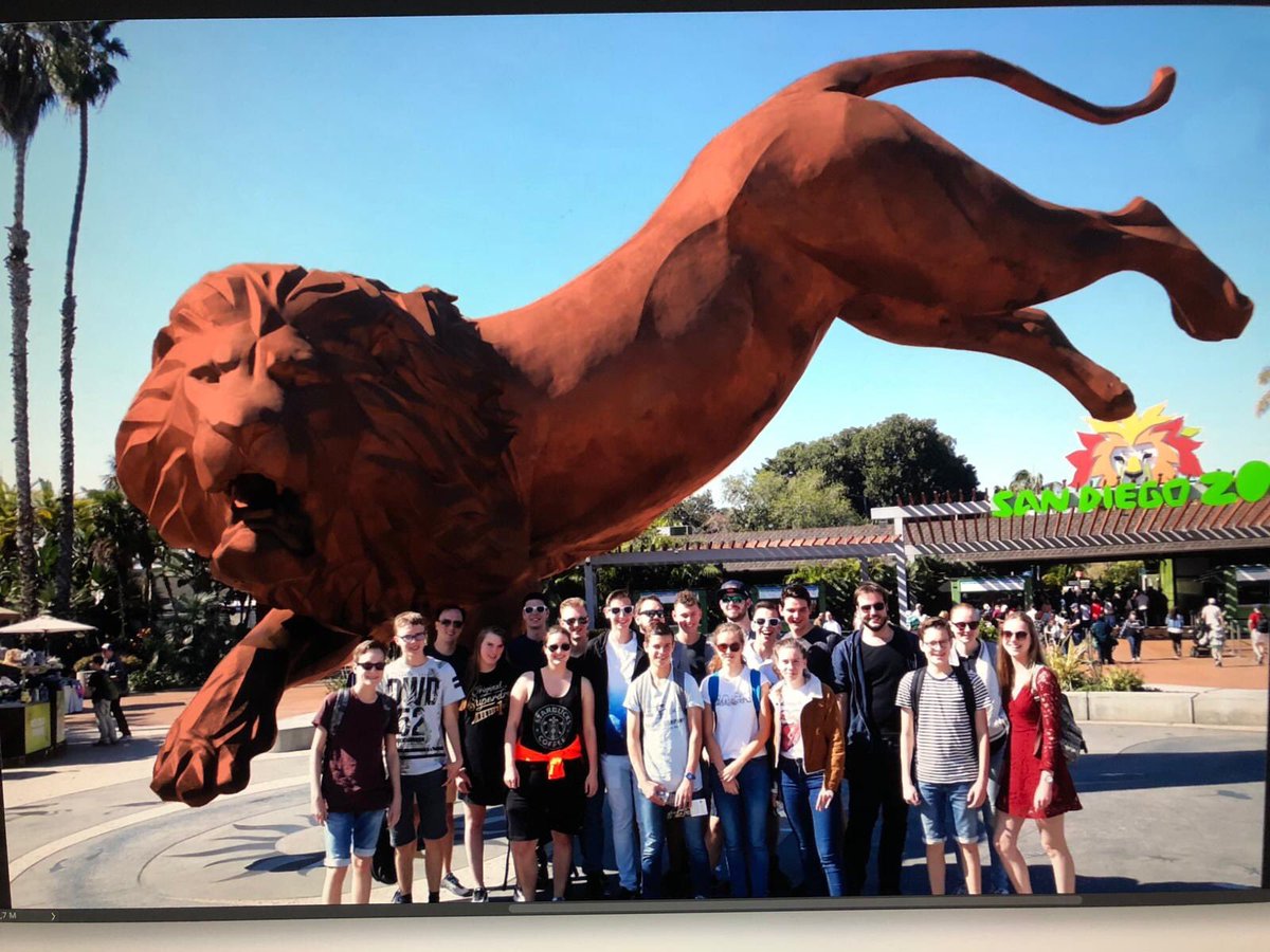 Team Rembrandts tweet media