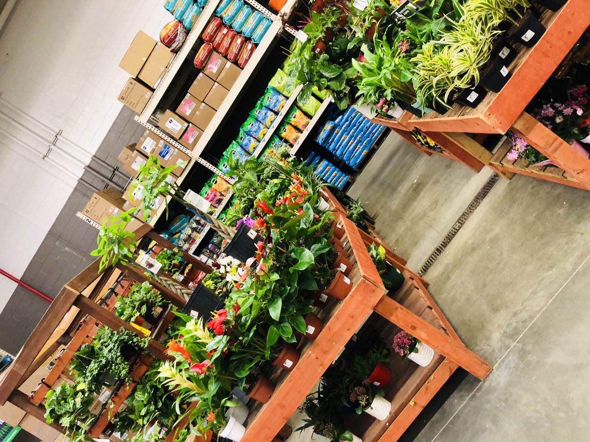 Tee1076's tweet photo. Need a indoor or outdoor plant? Oakland 1007 has it all!!’#PacNorthProud #d49 #Oakland @TonyFonseca1076 @SmithAki @THDAaronk @Liz92614844 @mosunich https://t.co/YlwYsftyd8