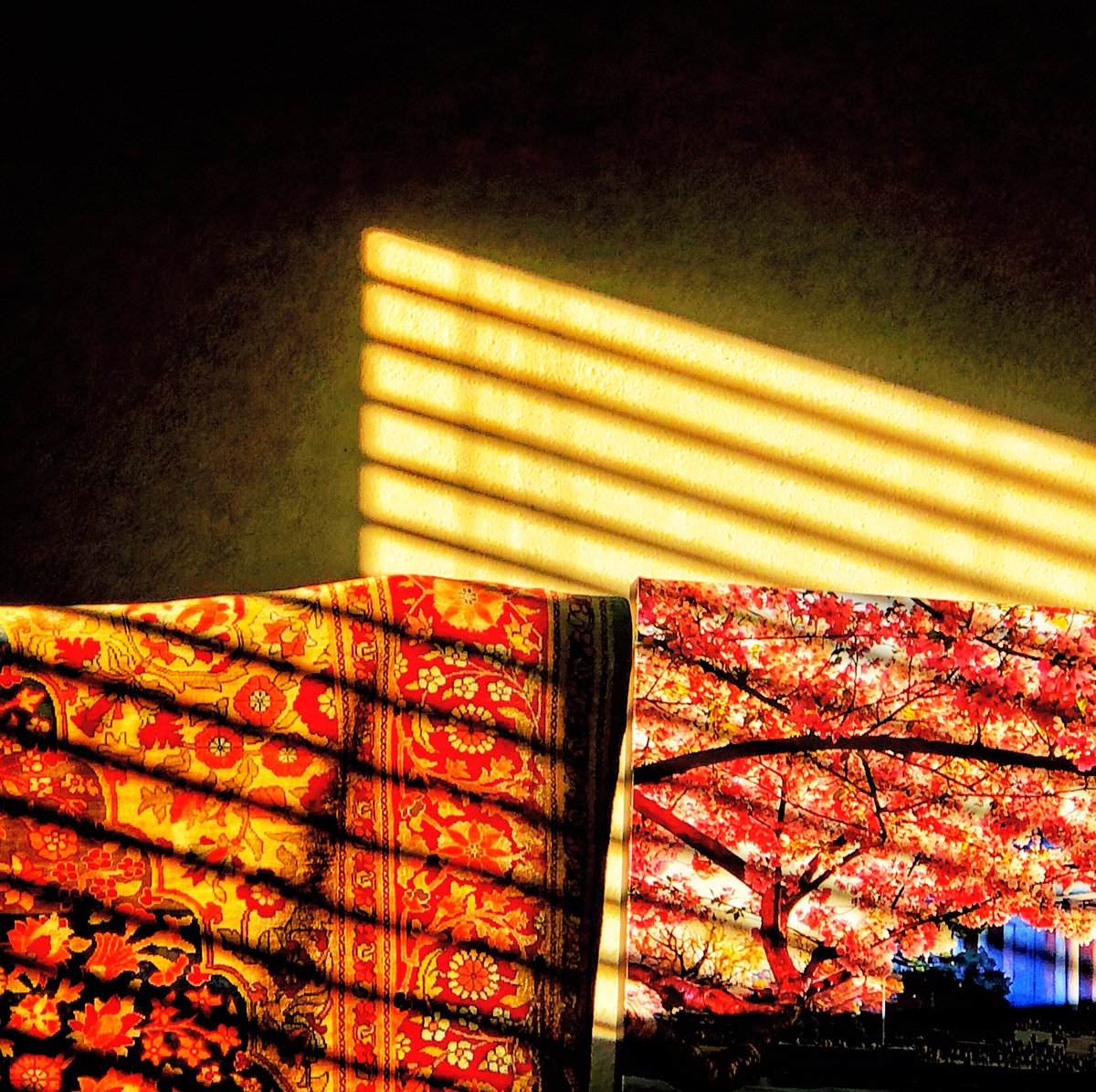 MoShaban's tweet photo. Light is the great equalizer. In this frame, morning rays filter onto two forms of human art, a delicate Hereke silk and a canvas of a photo I took of flowering cherry blossoms @dcartsbeat https://t.co/SYJbqsP6xW