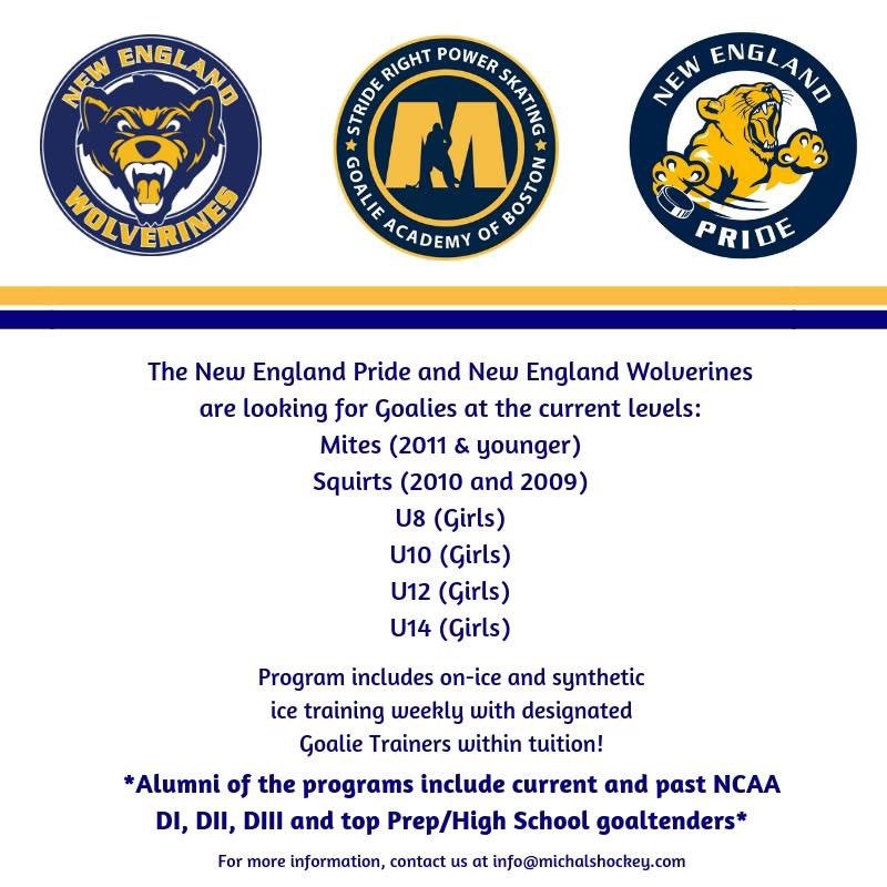 Michals Hockey (@michalshockey) on Twitter photo 