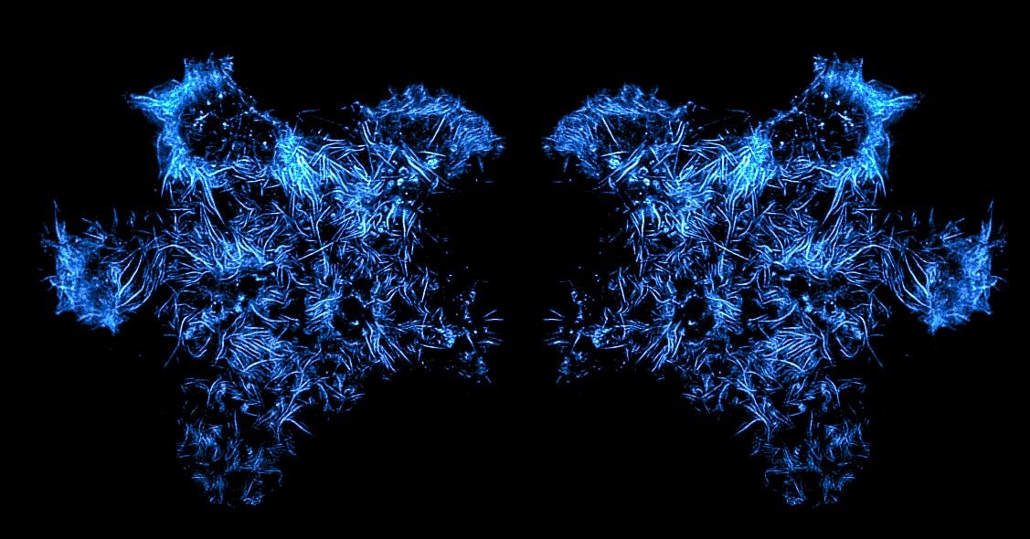 barbieri_lili's tweet photo. I got the opportunity to present my star-shaped HeLa cell at the #NDORMS imaging symposium. 
Acquired with #TIRFSIM microscope @KirOxford @FritzscheLab. Cell was duplicated and mirrored. Result: hug between two old HeLa friends. Thanks for voting my image ^.^ Super happy!! https://t.co/eHb4eci3N0