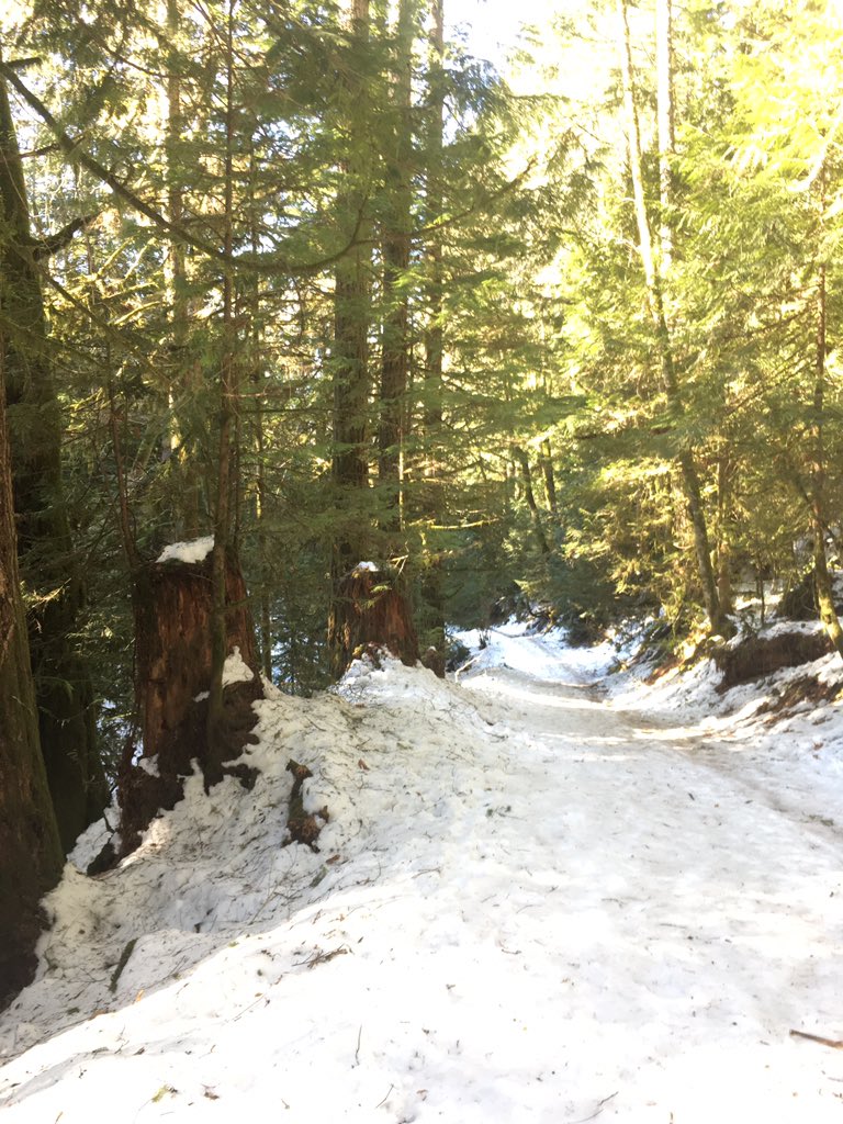 TimelyDottie's tweet photo. #dogwalking #hikingadventures #lifeisgood #livingthedream https://t.co/FMnhSxdJMt