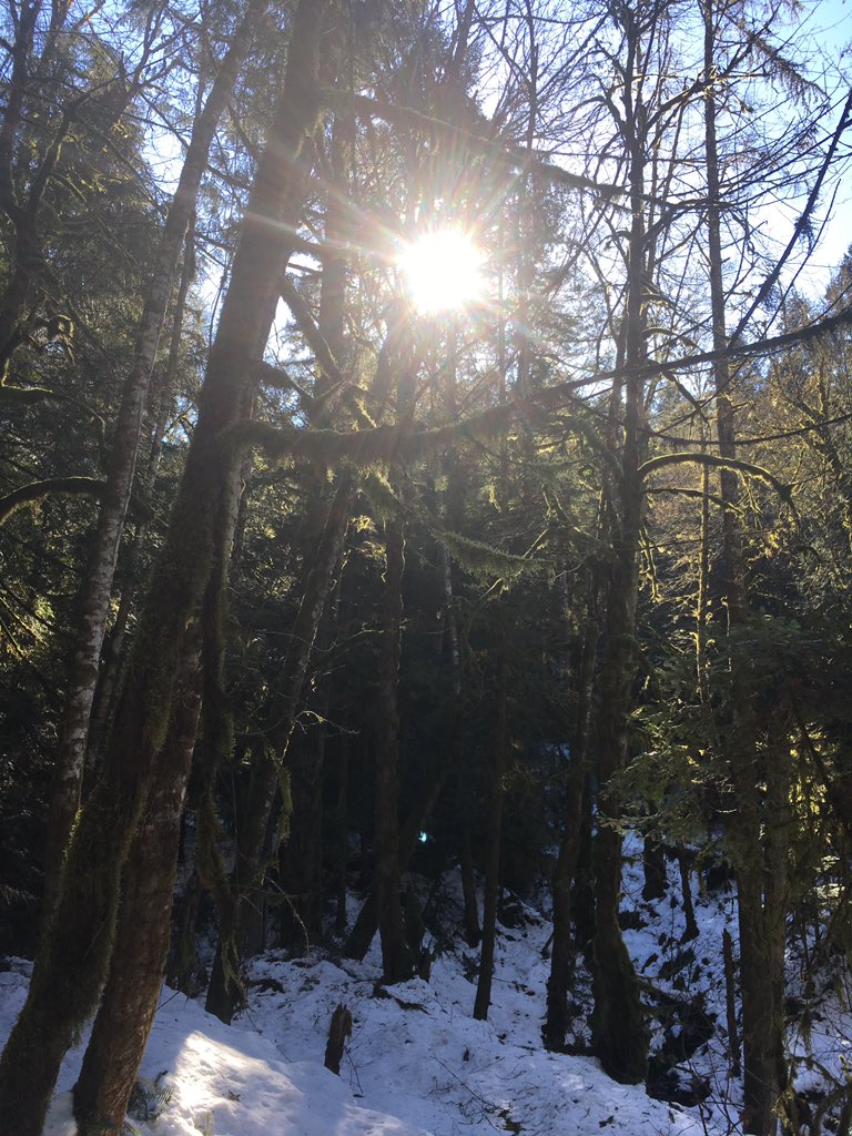 TimelyDottie's tweet photo. #dogwalking #hikingadventures #lifeisgood #livingthedream https://t.co/FMnhSxdJMt