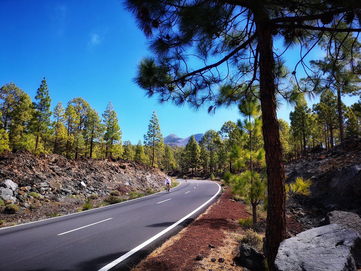 EVI_GIO's tweet photo. Paraíso, no hay más que decir @TesorosCanarios @ComparteMiradas @LifestyleCan @santacruz_ayto @pnteide @islaspromo @LocalizaloCan @TenerifePlanet @territoriocan @MujeresaSeguir @mujerypunto https://t.co/nRLY4v022D