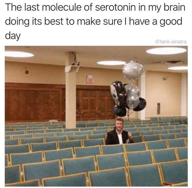 WholesomeMeme's tweet photo. https://t.co/lZPsWtbEeZ