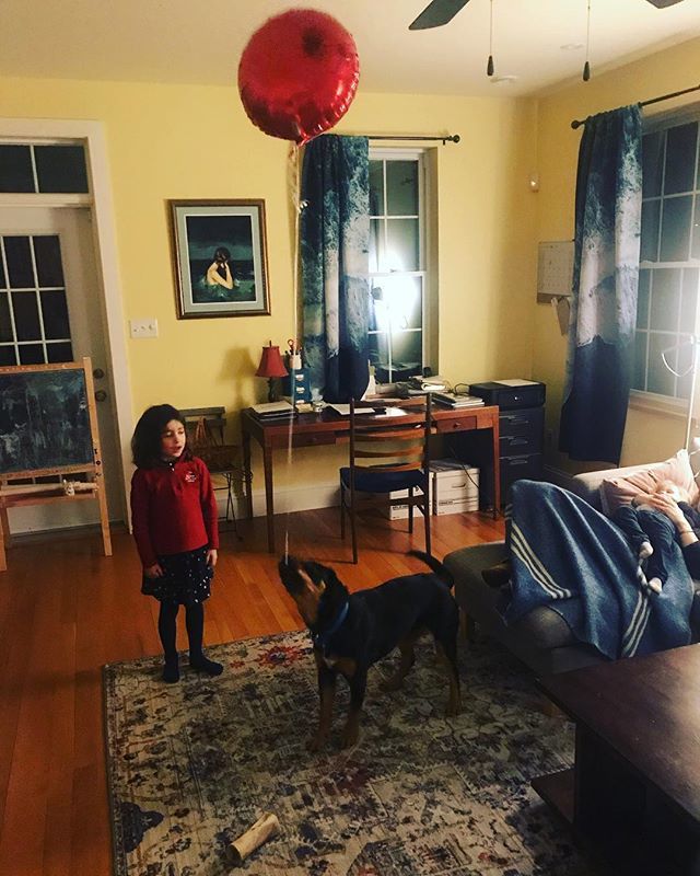 FoodlinerTO's tweet photo. It’s the dogs balloon #dog #balloon #dogballoon #dogsballoon #balloondogs https://t.co/CH6tT01pES