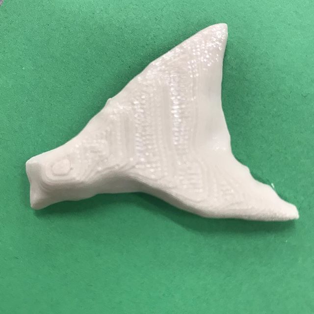 DrKathyGarneau's tweet photo. Our first 3D printed tail! #bsd106 #bionicanimals #3rdgrade #qloneapp https://t.co/ThsLLbI7Ir https://t.co/q6Rr0tUeki