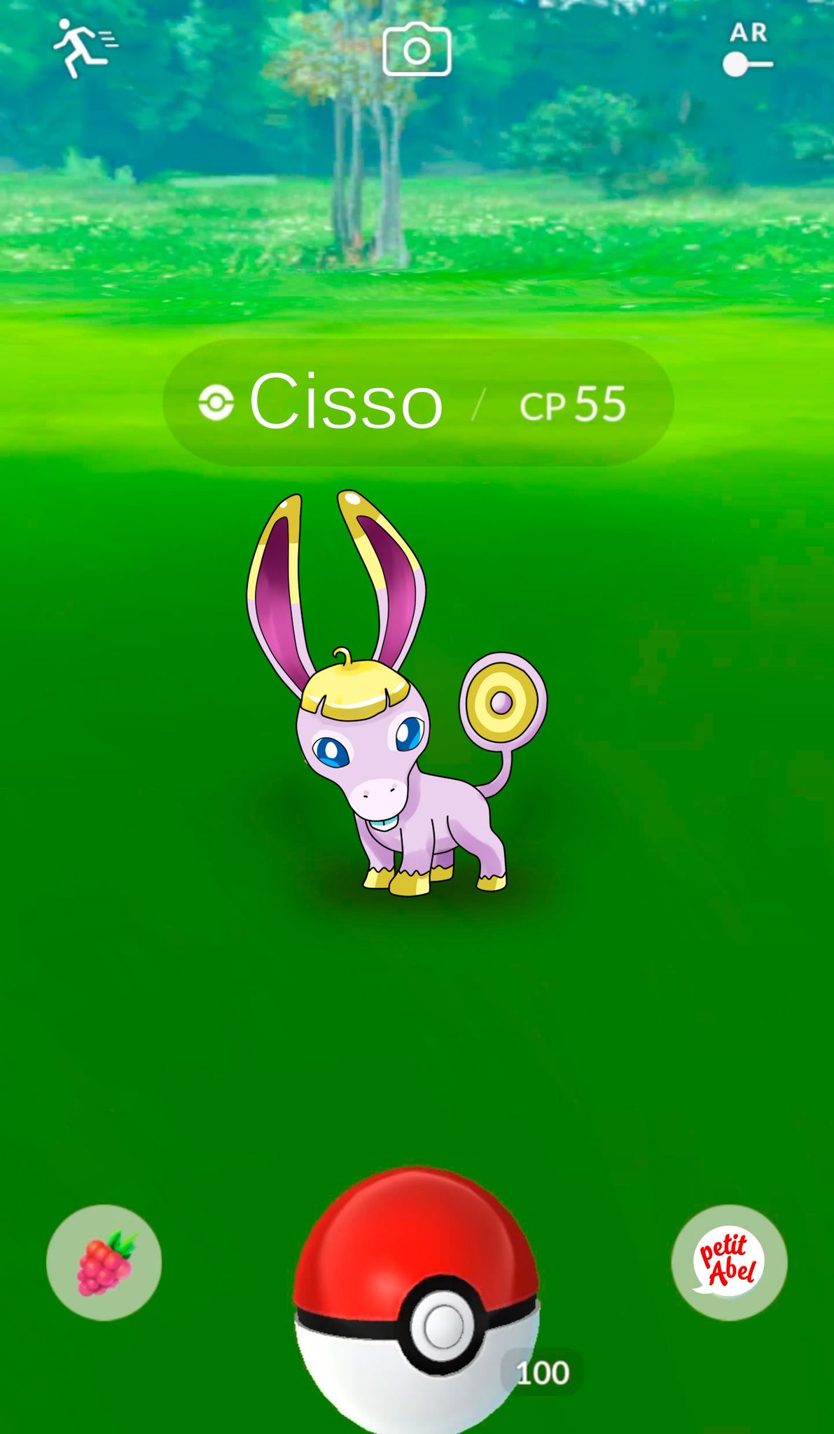 Petit Abel 🎨 on X: Vazaram os novos Pokémons regionais do Brasil! Um deles é o Cisso, um pokémon jegue, do tipo fada, que evolui para o Paredony, uma mistura de jegue
