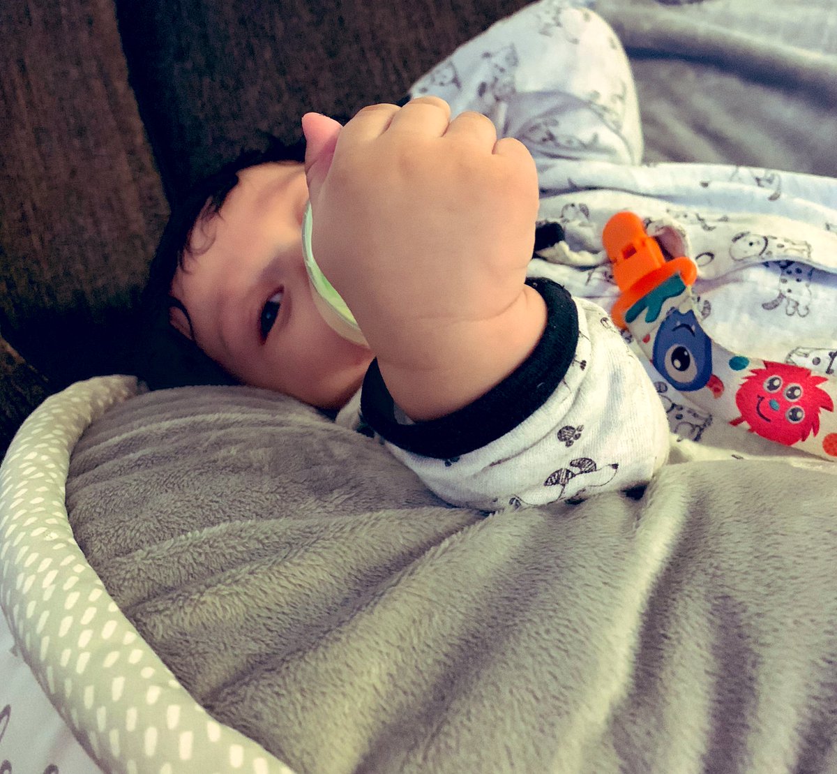 Rockksandd's tweet photo. how dominic holds his bottle. 😂
straight chillllen. https://t.co/gpPG2iUKVg