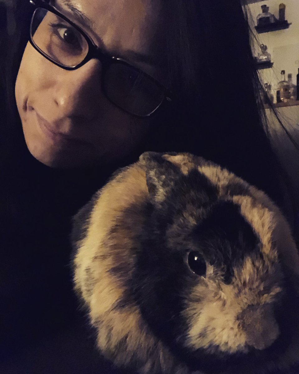 MexiVrod's tweet photo. #Bunnin’ https://t.co/IOarKjkfDu