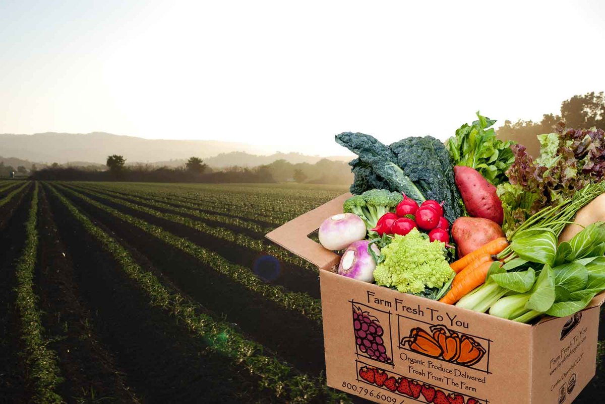getconnectedone's tweet photo. #Exclusive They deliver #organic #fruits & #vegetables fresh from there fields to your doorstep. https://t.co/LTNiN6WtJV β¬
#ad #foodheaven #foodoftheday
#windycitybloggers #atlbloggers #fitnessmotivation #fitnessaddict #femaletravelbloggers #fitnessmodels #fitnessmom https://t.co/MTtt41eLjj