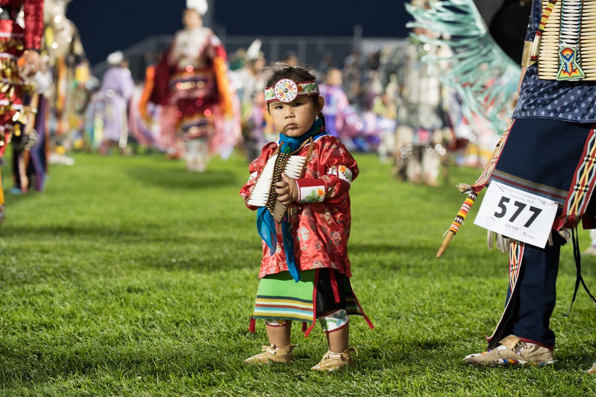 shakopeepowwow's tweet photo. #TinyTotTuesday #SMSCWacipi https://t.co/rfd1fShiMm