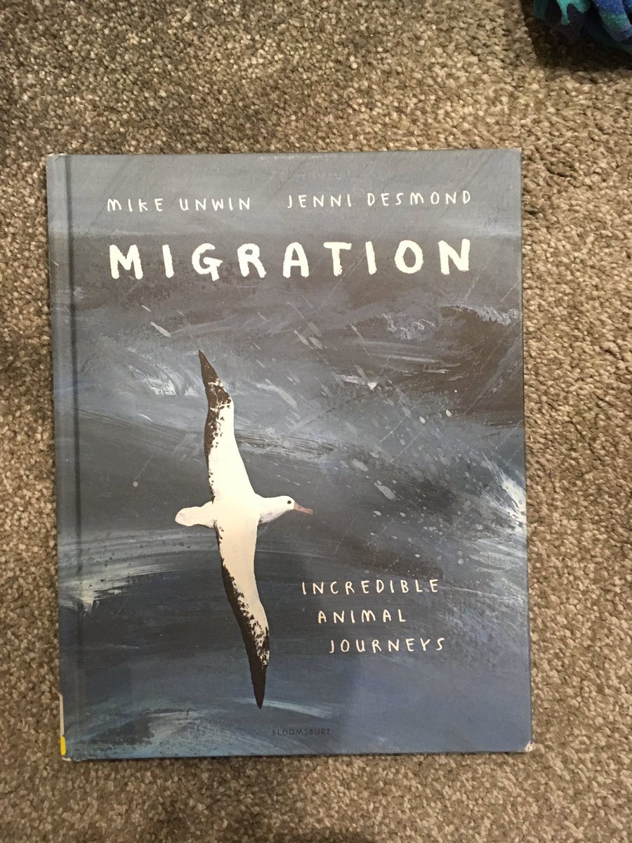 stephiellis's tweet photo. Celebrating @WorldBookDayUK with @mill_view This one we all love, borrowed from @StoryhouseLive Beautiful illustrations and inspiring animal journeys #MVlovetoread #JEMYR3 https://t.co/MufjUKUgzn