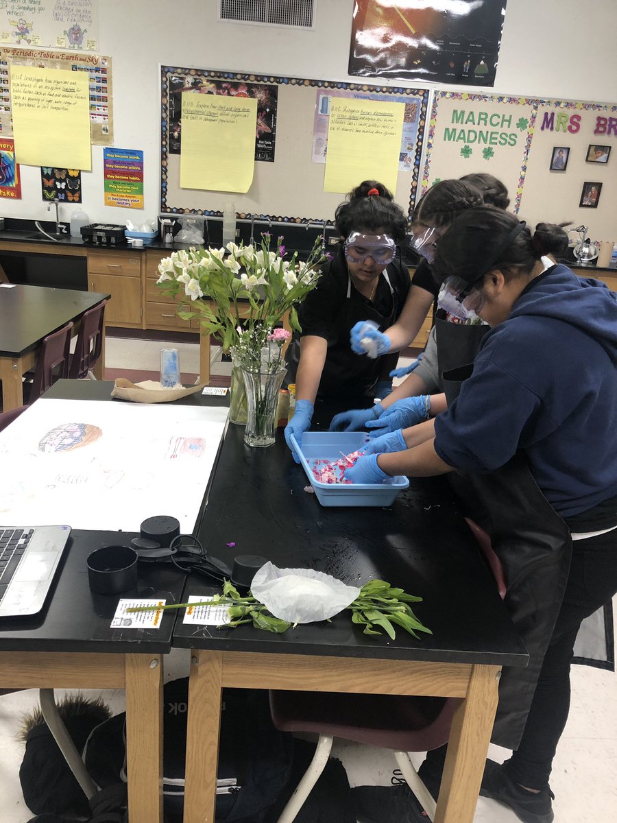 YsletaMSScience's tweet photo. Producing perfume! Students investigate how evidence of a chemical reaction indicate a new substance! #whatsinascent #thisscienceteacherrocks  @reynahustles @Daniel_G1990 https://t.co/YoAy74ZoxM
