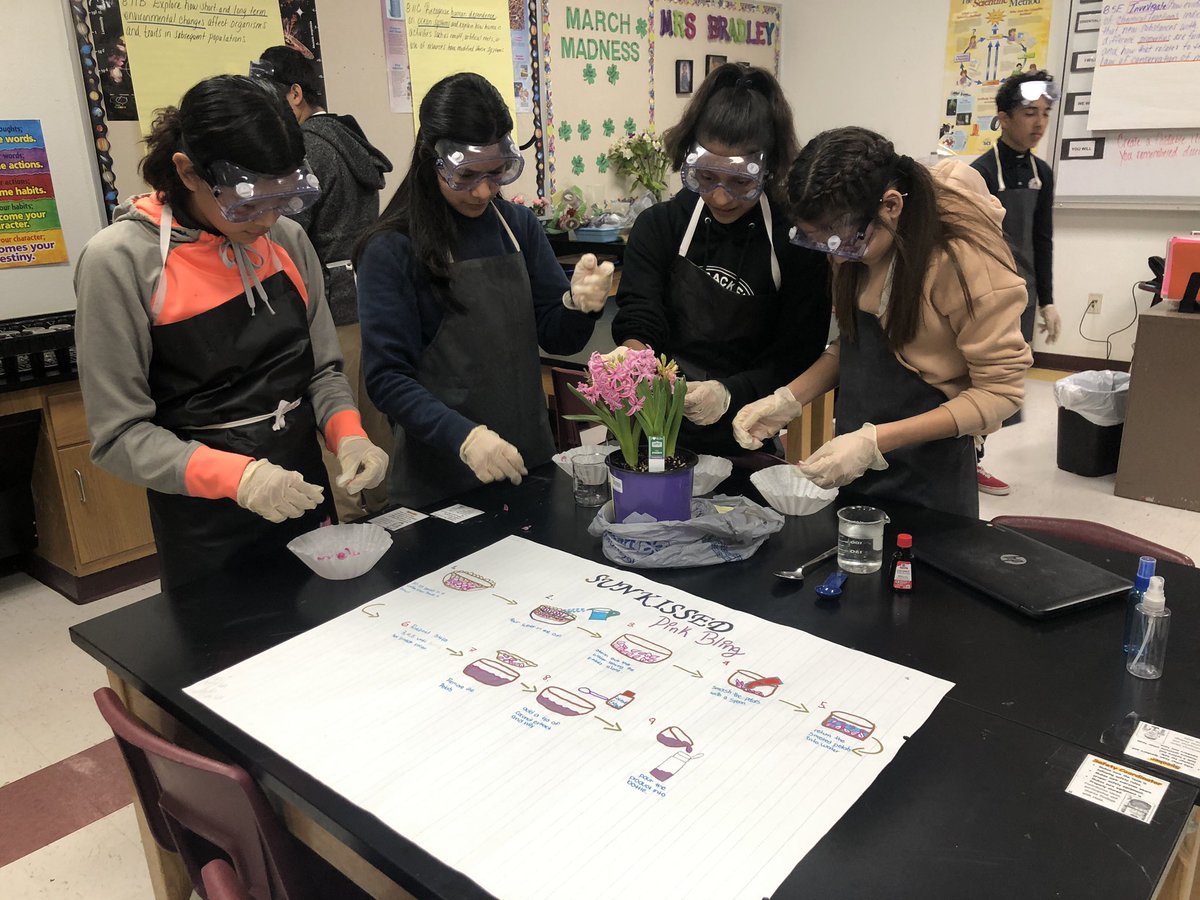 YsletaMSScience's tweet photo. Producing perfume! Students investigate how evidence of a chemical reaction indicate a new substance! #whatsinascent #thisscienceteacherrocks  @reynahustles @Daniel_G1990 https://t.co/YoAy74ZoxM