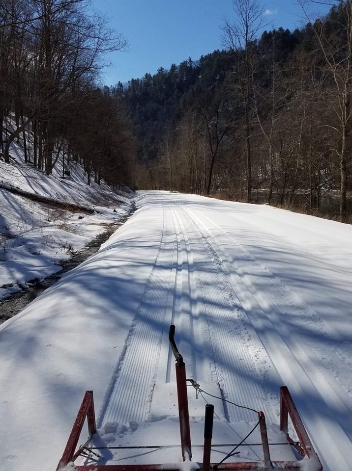 DCNRnews's tweet photo. #Crosscountryskiing tracks have been set on the #PineCreekRailTrail from northern terminus to the Turkey Path Trail. Conditions north of #PAGrandCanyon are fair with the sun starting to melt. Conditions in the canyon are excellent. #TrailTuesday #TiogaStateForest #ExplorePATrails https://t.co/YHt91FLMkF