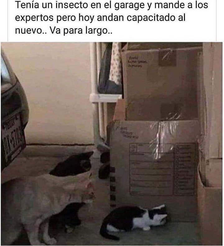orlonk's tweet photo. Jsjsjsjs me llena de orgullo #SiguemeYTeSigo #Memes #Chile #Momazos #Santiago #Regiones #Twitter #Like https://t.co/k7MBLv7BYd