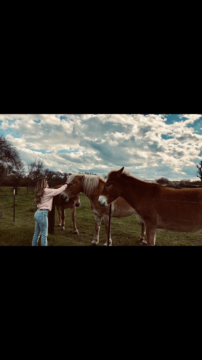 riley_payton's tweet photo. I am too obsessed with these pictures. 💕🦄
@LEVIS https://t.co/zF2vX6hEu5