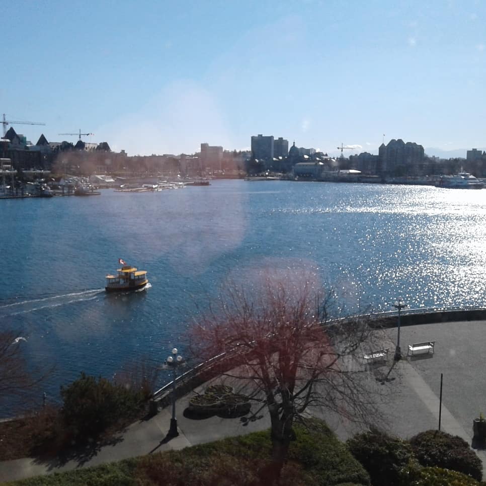 Ryan Butt tweet media