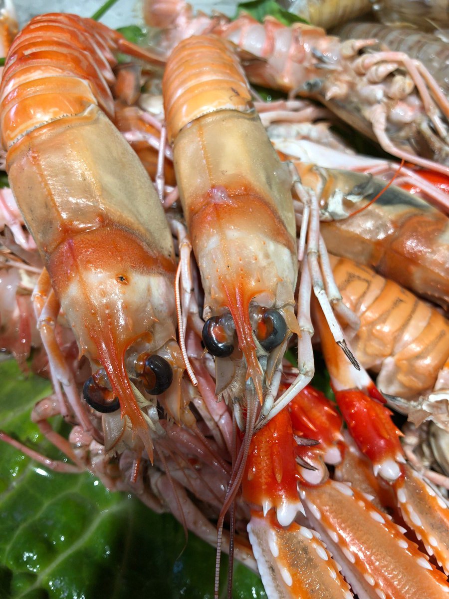 Us deixo la meva cigala, per allò que us calgui.