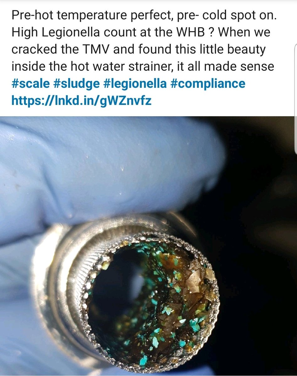TvwsNeil's tweet photo. Found this last night. This is why inspections are necessary #legionella https://t.co/LYmmutOKsz