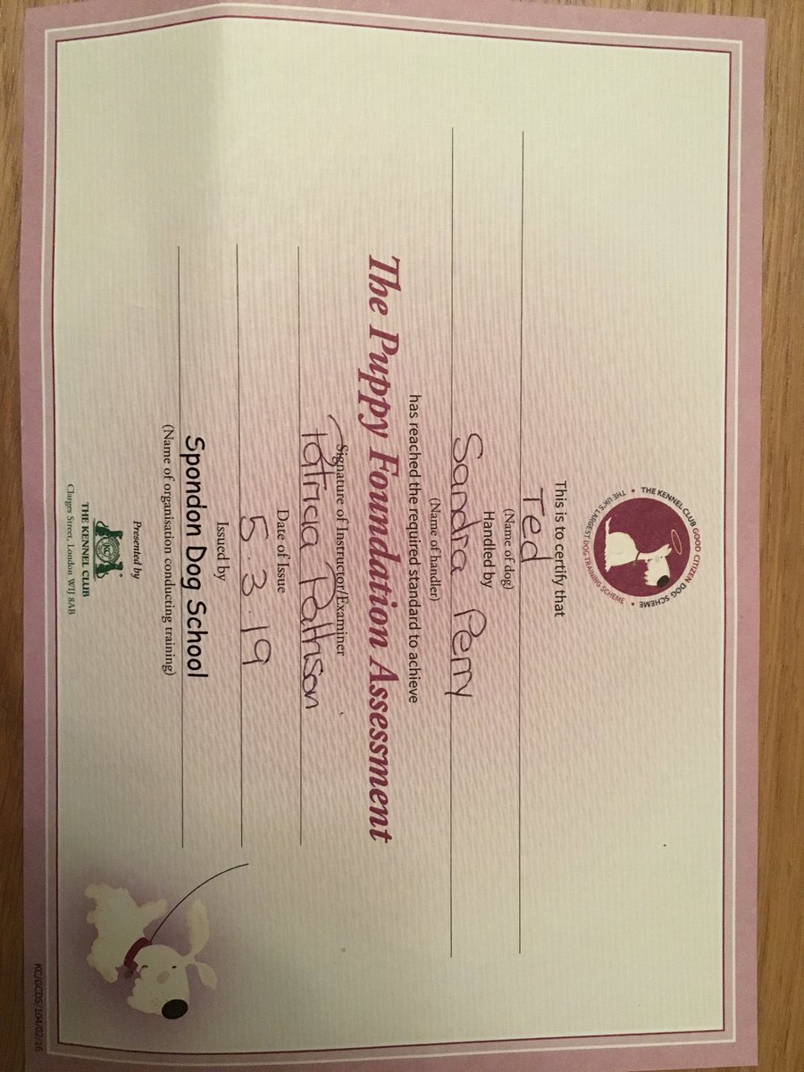 sandraperry99's tweet photo. So proud of my boy I could weep.... sniff! xx https://t.co/qrlzR3Wejb