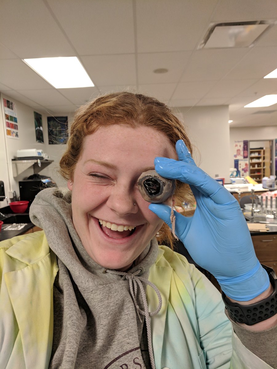 Continuing to move through the nervous system.  We were able to explore the anatomy of the eye! #DelawareAreaCC 
Best 2019 Seniors!