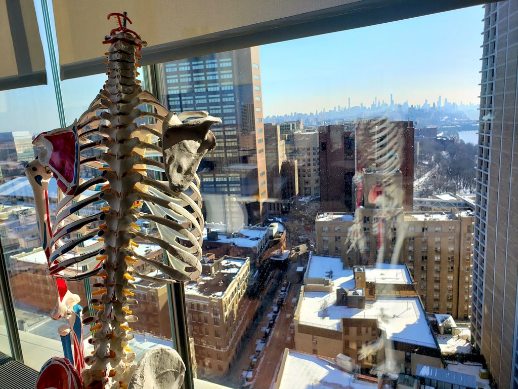 Surveying the #skyline from the #VagelosEducationCenter 
. 
.
.
#sunnyday #glassfacade #vageloseducationcenter #skeleton #medschoollife #columbiaalumni #columbiauniversity #NYPresbyterian #CUMC #Medschool #Columbiamed