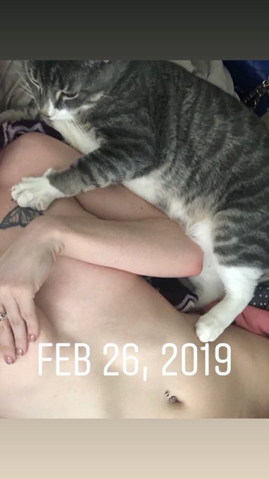 Kittys n titties #titties #catsofinstagram #camsoda #porn #xxx https://t.co/Vo7tvIFcdW<a href="/tag/titties"class="tags">#titties</a><a href="/tag/catsofinstagram"class="tags">#catsofinstagram</a><a href="/tag/camsoda"class="tags">#camsoda</a><a href="/tag/porn"class="tags"><span>#porn</span></a><a href="/tag/xxx"class="tags"><span>#xxx</span></a>