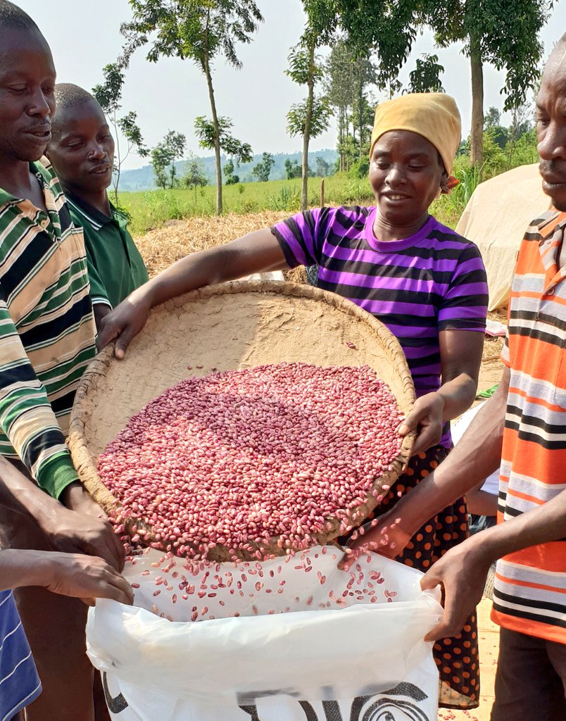 USAIDHingaWeze's tweet photo. Countdown to #InternationalWomensDay! Joining @RwandaGender, @RwandaWomen for the #IWD2019 celebration in @Nyamasheke! Our support to #Rwandan women to grow more and access markets improves their incomes and nutritional status, and contributes to family welfare #BalanceforBetter https://t.co/MY7eXwaPDq