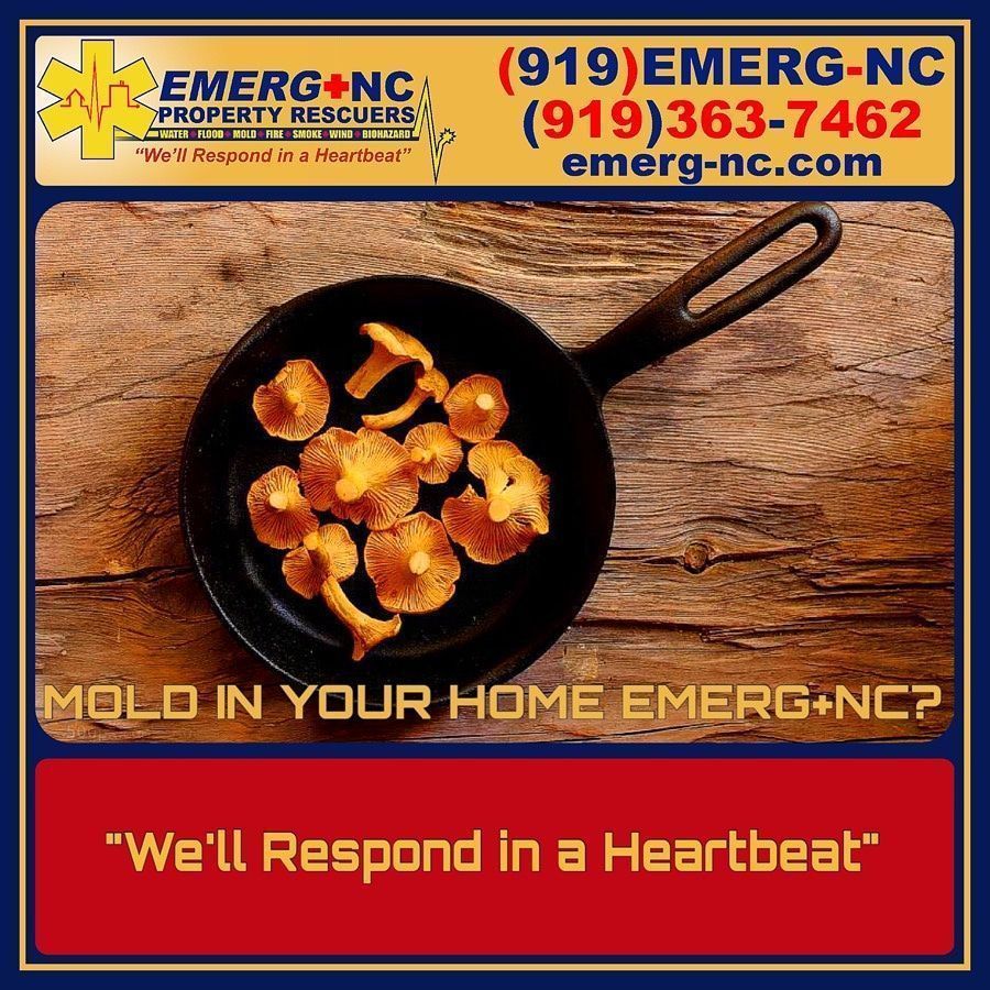 EMERG_NC's tweet photo. #NeedWaterDamageHelp? #StandingInWater? For a Property Damage EMERG+NC Call 919 EMERG-NC! Consumer Direct Insurance Claim Services. #ItsYourHome #ItsYourChoice #WeWorkForYou #WeWorkWithAllInsuranceCompanies #emergency #property #damage via https://t.co/8u1pZoMC8T https://t.co/cL7IpmfUYH