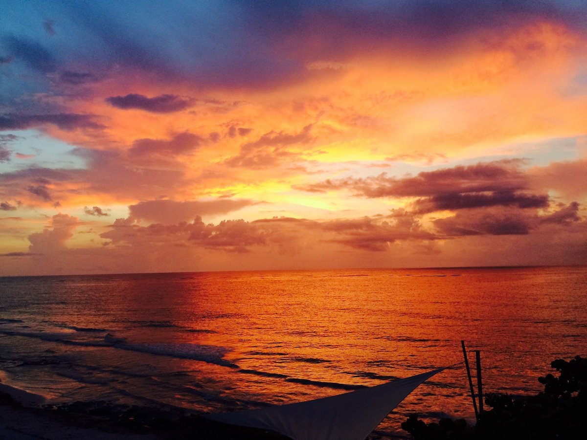 tulum_mexico's tweet photo. Descubre #PuntaAllen un lugar único en el mundo donde se fusionan 3 ecosistemas, el del Mar Caribe, en de los ríos subterráneos y la Laguna. Está situando dentro de la Reserva de la Biosfera de Sian Ka`an que está catalogado por la UNESCO patrimonio de la humanidad. 😎🚤💚🔝🐬 https://t.co/WpS2ORtmP2