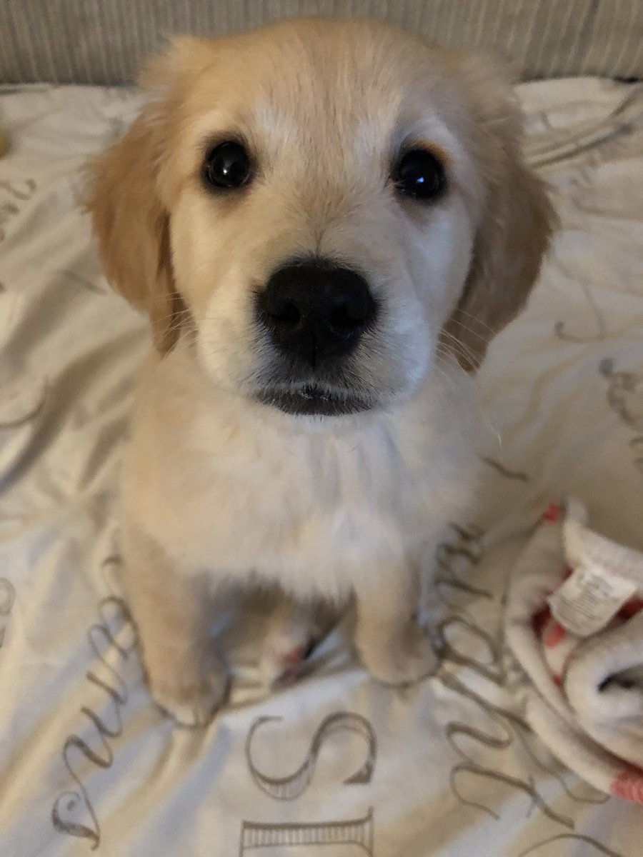 Endo Sister 🎗 tweet media