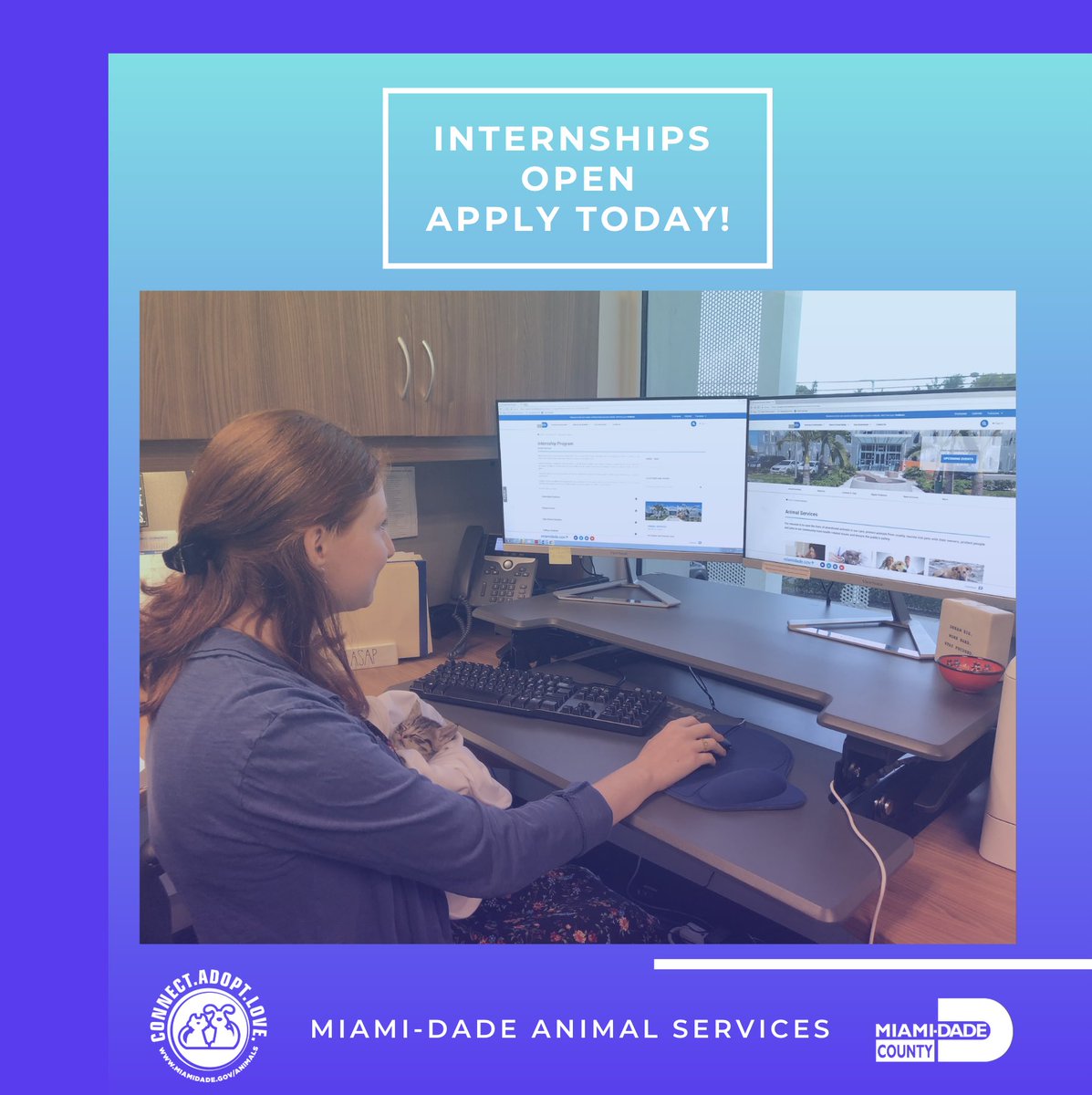 AdoptMiamiPets's tweet photo. Applications are open and we can't wait for you to apply! Our #ASDTeam is looking forward to seeing your application! For more information, email asdinternship@miamidade.gov! https://t.co/h2RnHrq66k