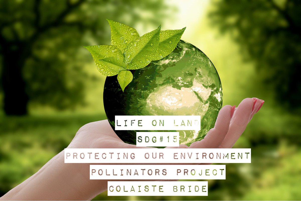 Colaistebride's tweet photo. Not only are we looking at our wellbeing during #cbwellbeing &amp; #asw19 but also that of our Environment, our school is now registered to take part in #pollinators plan 🐝🐝🐝 See Bee well🐝ing @emaherart https://t.co/R7srLnaoB9