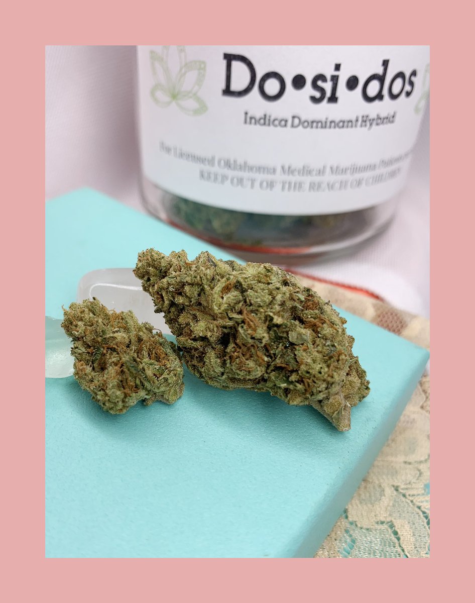 TheGreenerSide's tweet photo. Our Do-is-dos ready for Oklahoma patients!
#itsforthepatients
#oklahomacannabis 
#dosidos
#flowerfarmer
#ilovemyjob https://t.co/CHsq4OPyYe