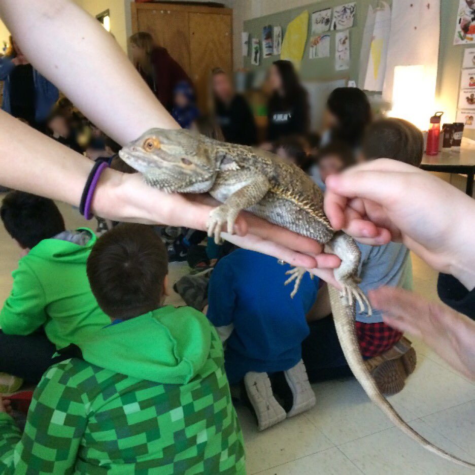 The first two days of Spirit Week have been a hit with the Senior Class!! Thanks to <a href="/raysreptiles/">Ray’s Reptile Rescue</a> and <a href="/67sRiley/">Riley #67 Raccoon</a> for the visits! #thisishowwesel <a href="/McHughEduCentre/">M.F. McHugh Education Centre</a>