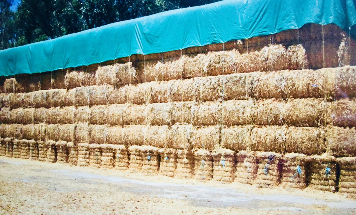 omnity_io's tweet photo. How do you find a needle in a haystack? With a really BIG magnet.  But how do you find a needle in a billion haystacks?  Omnity - Knowledge, Connected. https://t.co/UOjTu8RGYh
