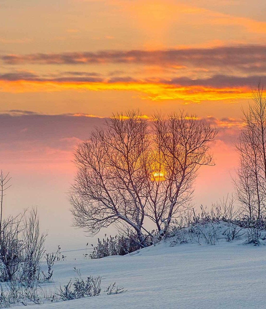 .

버리면 행복해 진다는 것을 알면서도 
버림을 실천하지 못해 불행과 마주친다. 

법정스님의 말씀처럼 
소유보다 무소유가 
기억보다 망각이 
더 큰 행복을 준다는 것을 알지만 

더 많은 것을 소유하고 기억하기 위해 어리석게도 이순간에도 목숨을 건다.

오늘 이순간에도 끊임없이. . .

.
